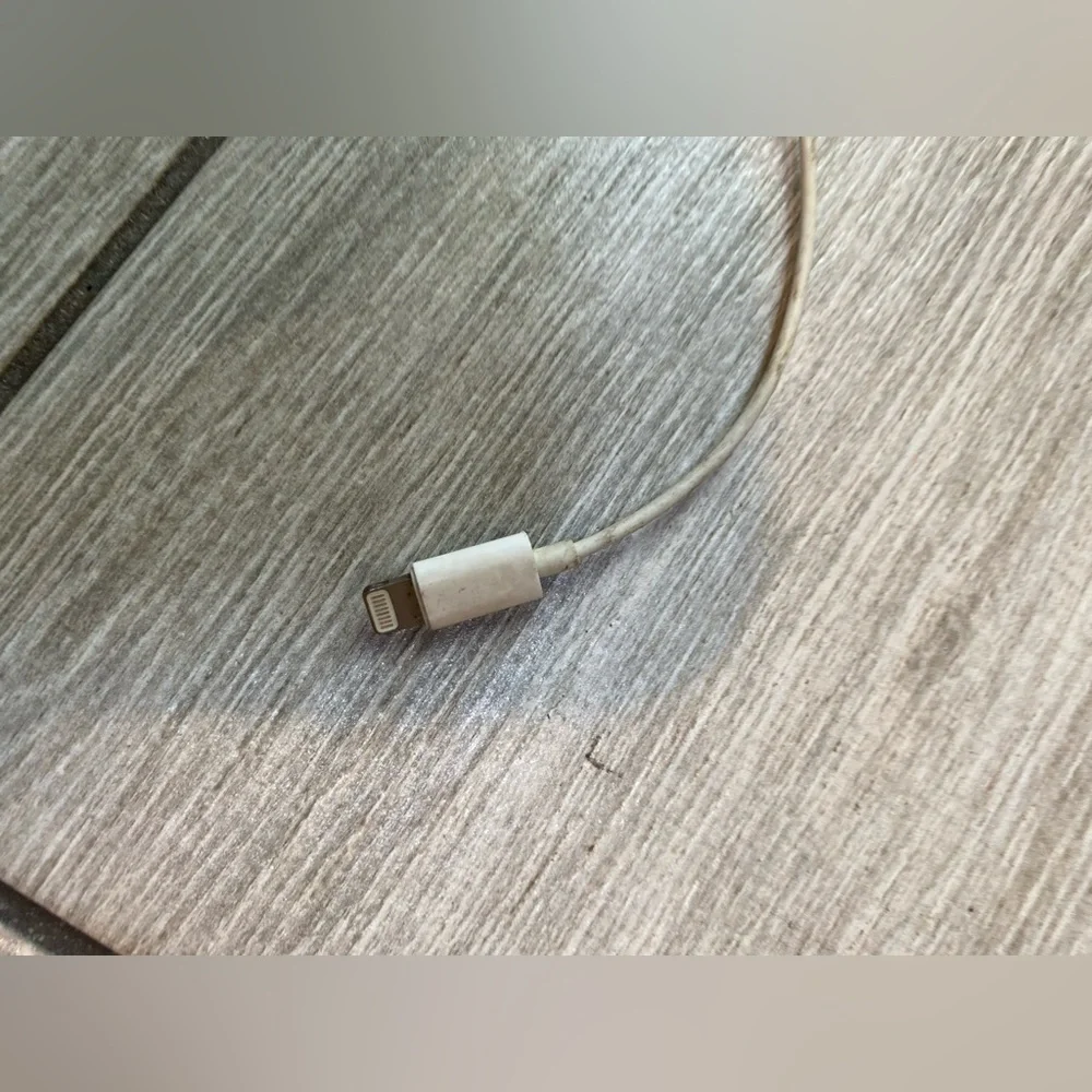 Apple EarPods with Lightning Connector
